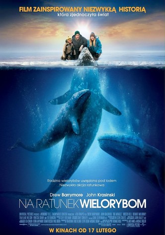 Na ratunek wielorybom
