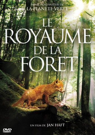 Le royaume de la forêt