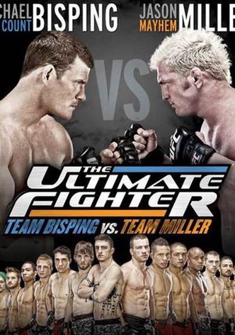 The Ultimate Fighter 14 Finale