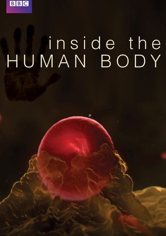 Inside the Human Body