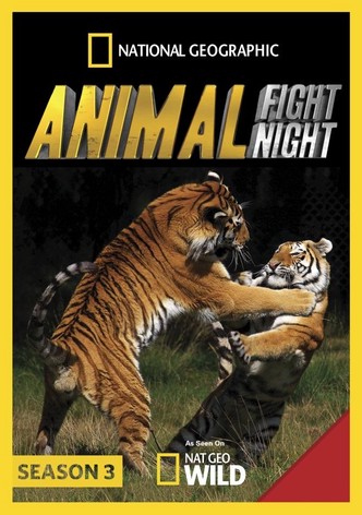 Animal Fight Night - streaming tv show online