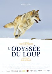 L'Odyssée du loup