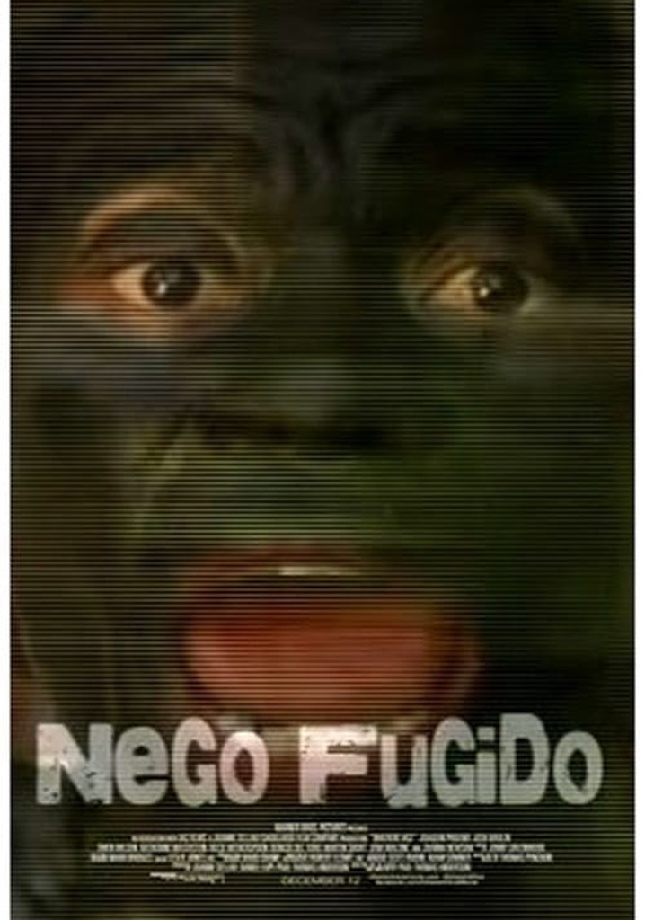 Nego Fugido