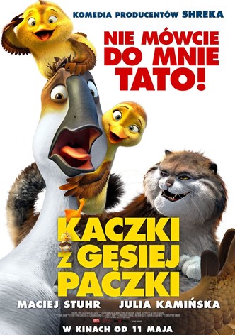 Kaczki z gęsiej paczki