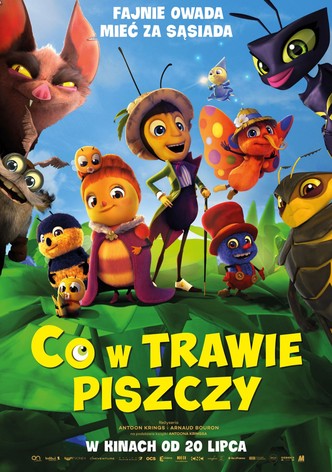 Co w trawie piszczy