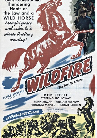 Wildfire