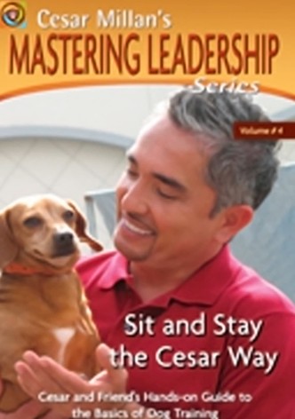 Mastering Leadership Series Vol. 4: Sit and Stay the Cesar Way