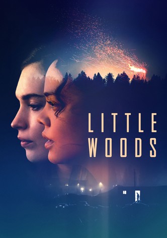 Little Woods