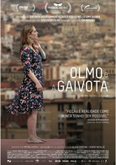 Olmo e a Gaivota