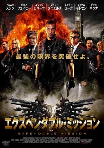 スキントラフィック