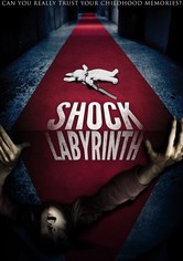 The Shock Labyrinth