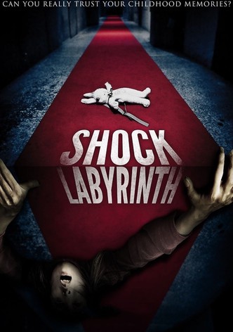 The Shock Labyrinth