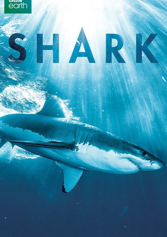 Shark