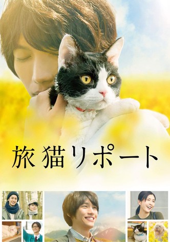 旅猫リポート