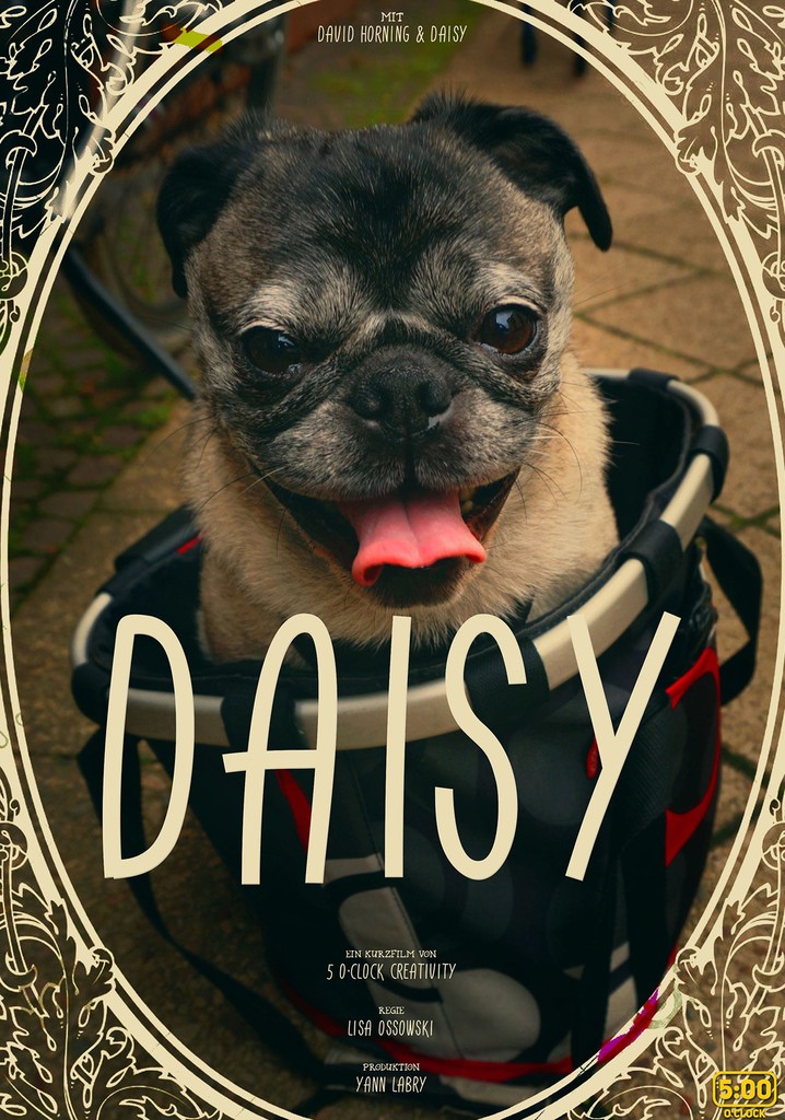 Daisy