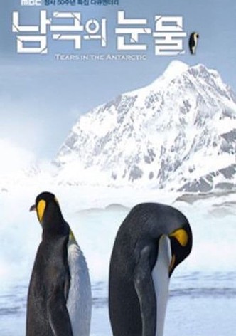 Tears of Antarctica