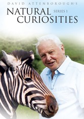 David Attenborough's Natural Curiosities