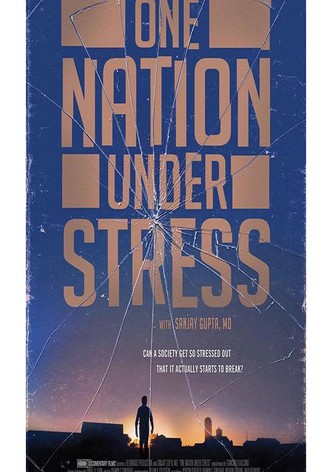 One Nation Under Stress