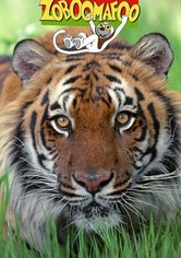 Zoboomafoo - Season 1