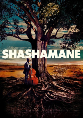 Shashamane