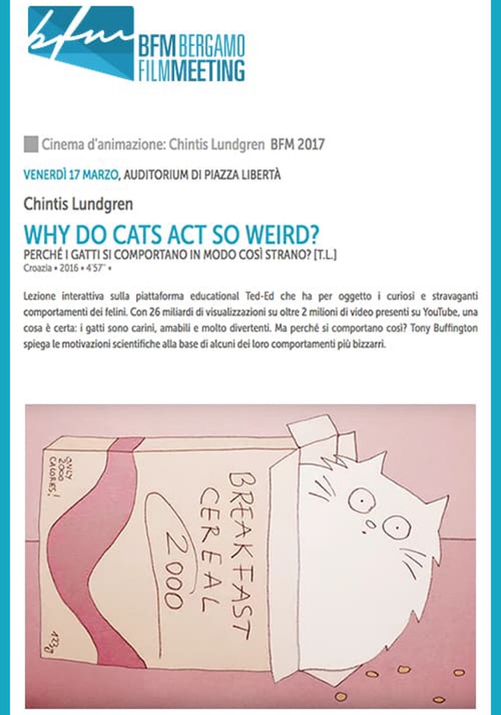 Why Do Cats Act So Weird?