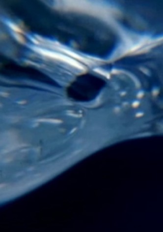 Oil and Water