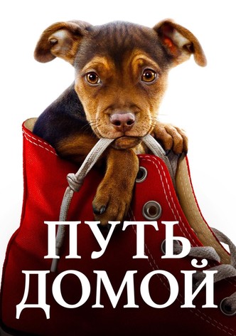 Путь домой