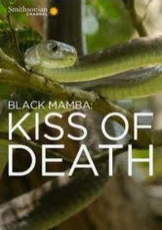 Black Mamba: Kiss Of Death