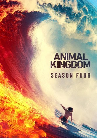 Animal Kingdom Season 1 - watch episodes streaming online