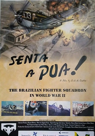 Hit Them Hard! The Brazilian Fighter Squadron in World War II