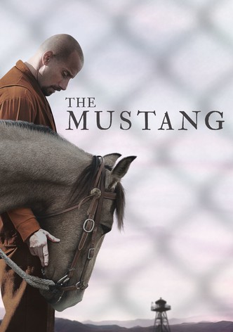 The Mustang