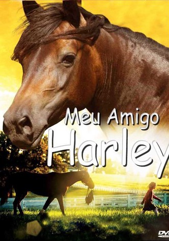 Meu Amigo Harley