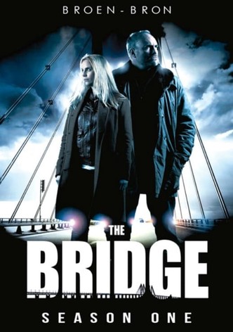 THE BRIDGE／ブリッジ ドラマ動画配信