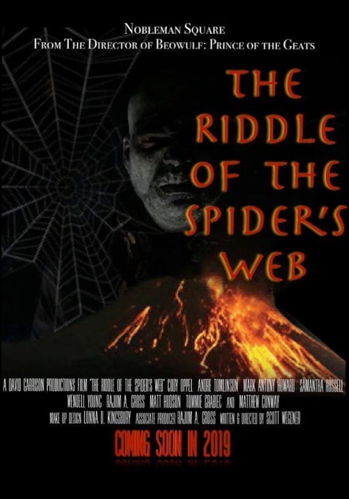 The Riddle Of The Spider's Web