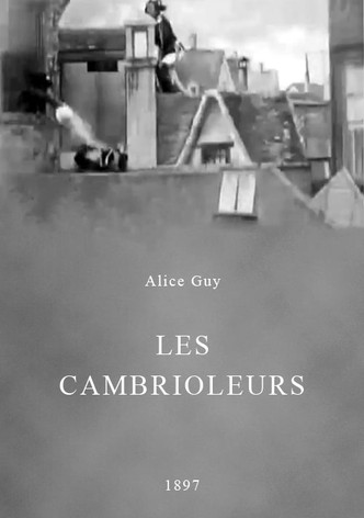 Les cambrioleurs