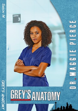 Regarder La Serie Grey S Anatomy Streaming