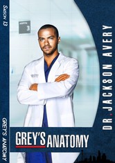 Regarder La Serie Grey S Anatomy Streaming