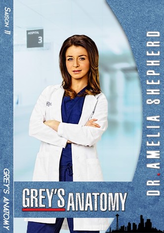 Regarder La Serie Grey S Anatomy Streaming