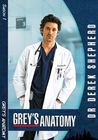 Regarder La Serie Grey S Anatomy Streaming