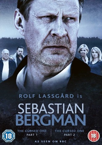 Sebastian Bergman: Profil vraha