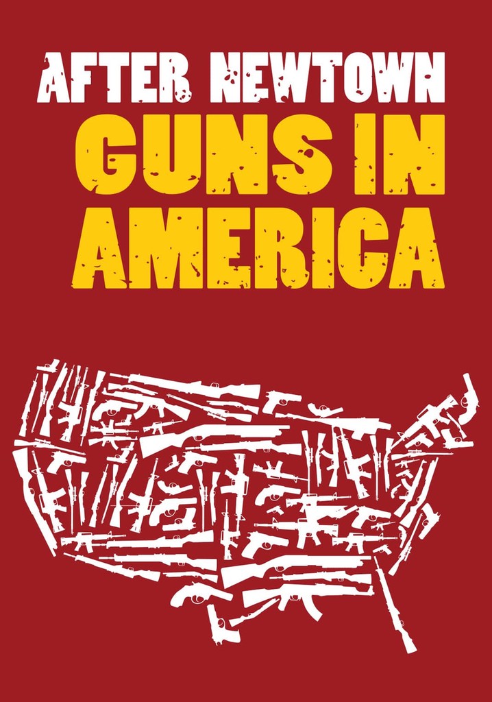 After Newtown: Guns in America
