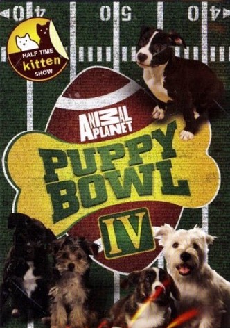 Watch puppy bowl 2019 best sale online free