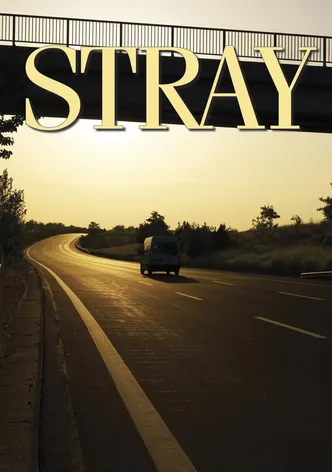 Stray poster