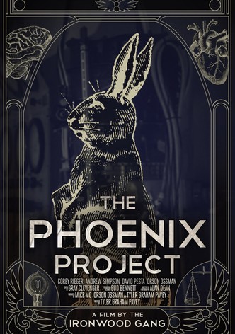 The Phoenix Project