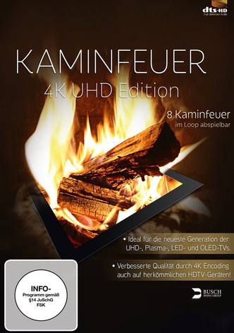 Kaminfeuer 4K