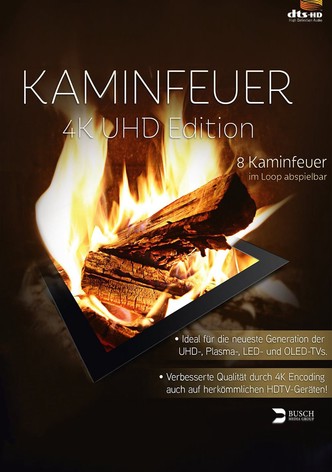 Kaminfeuer - Die Jagdhütte 4K