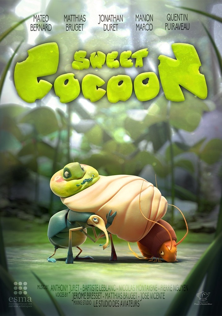 Sweet Cocoon