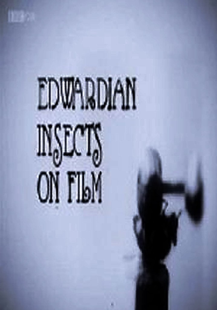 Edwardian Insects on Film