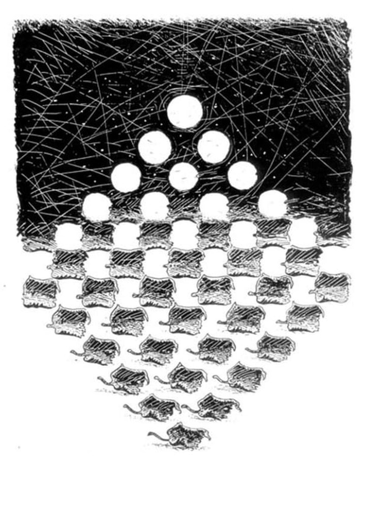 Black Hole, White Hole