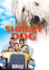 The Shaggy Dog